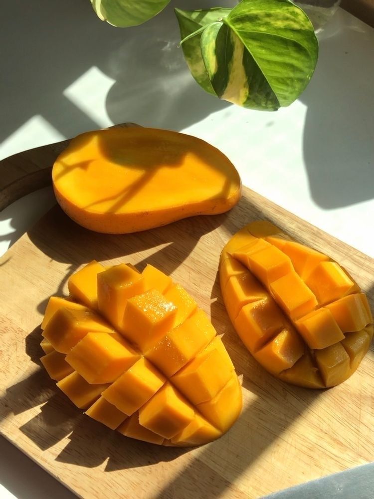 Premium Types of Mango available in the UAE | mango.dxb - Tulsidas