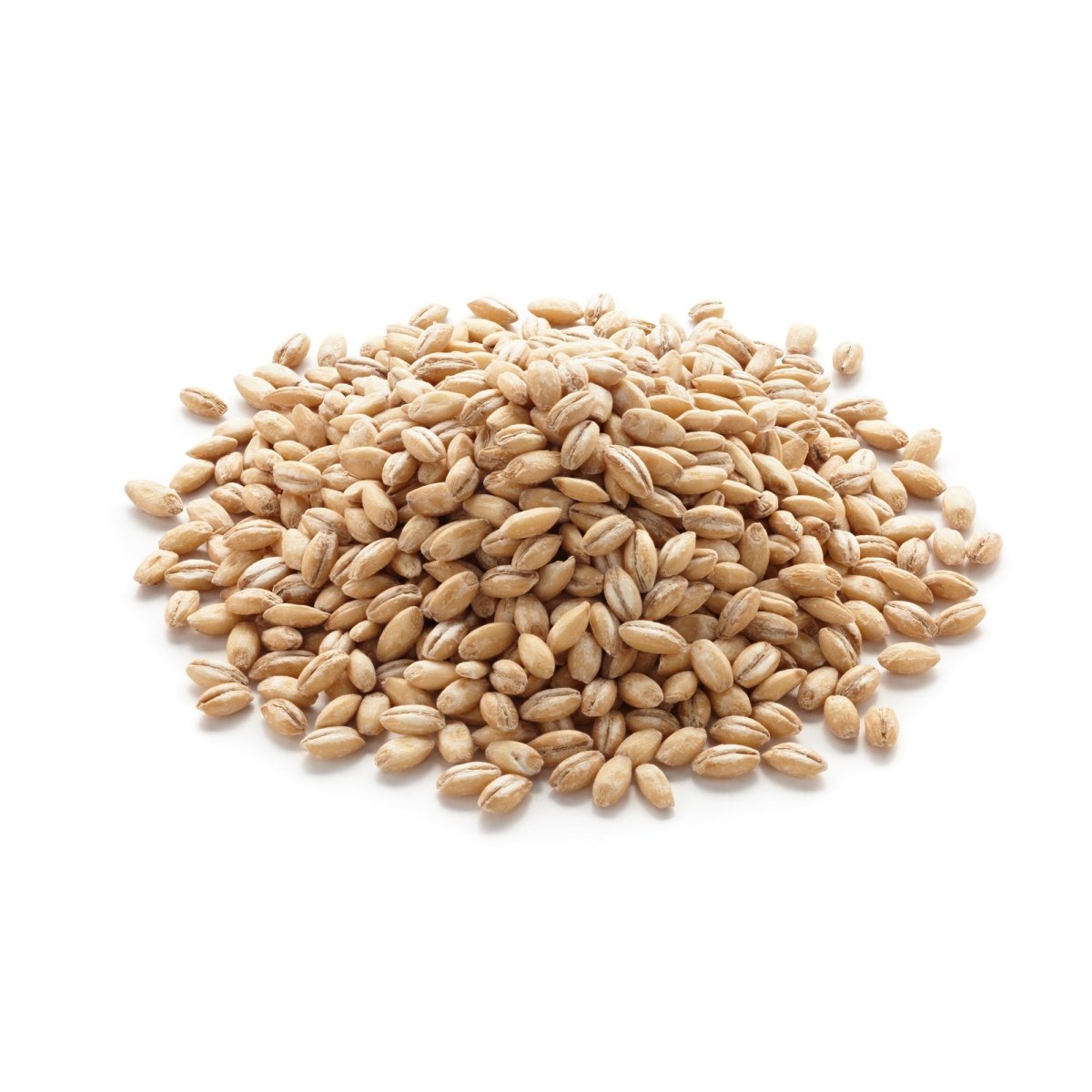 Barley - Tulsidas