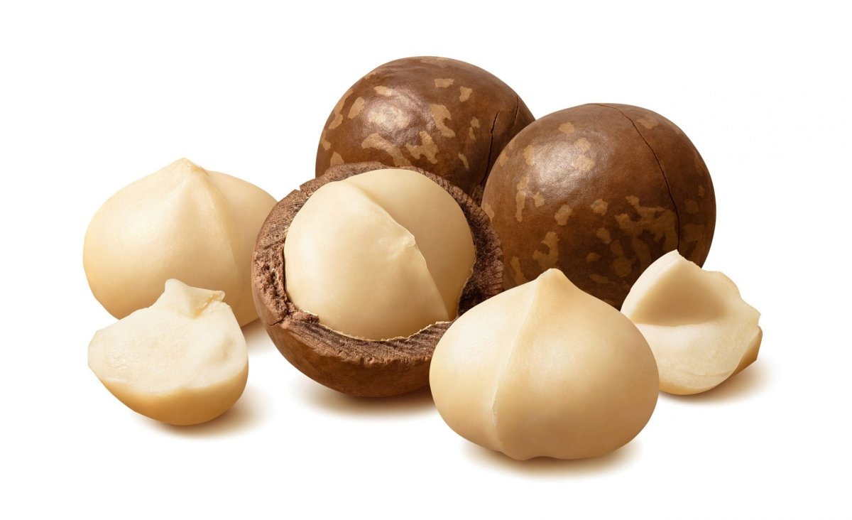 Macadamia Nuts - Tulsidas