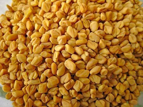 Methi Seeds / Fenugreek Seeds - Tulsidas