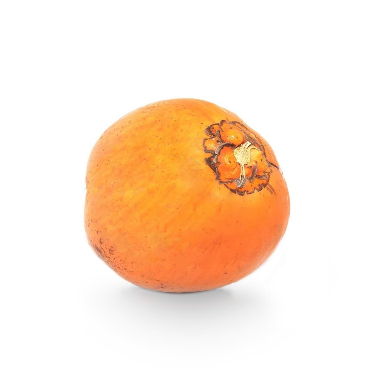 Premium King Coconuts 6pcs (Uncut/Cut) - Tulsidas