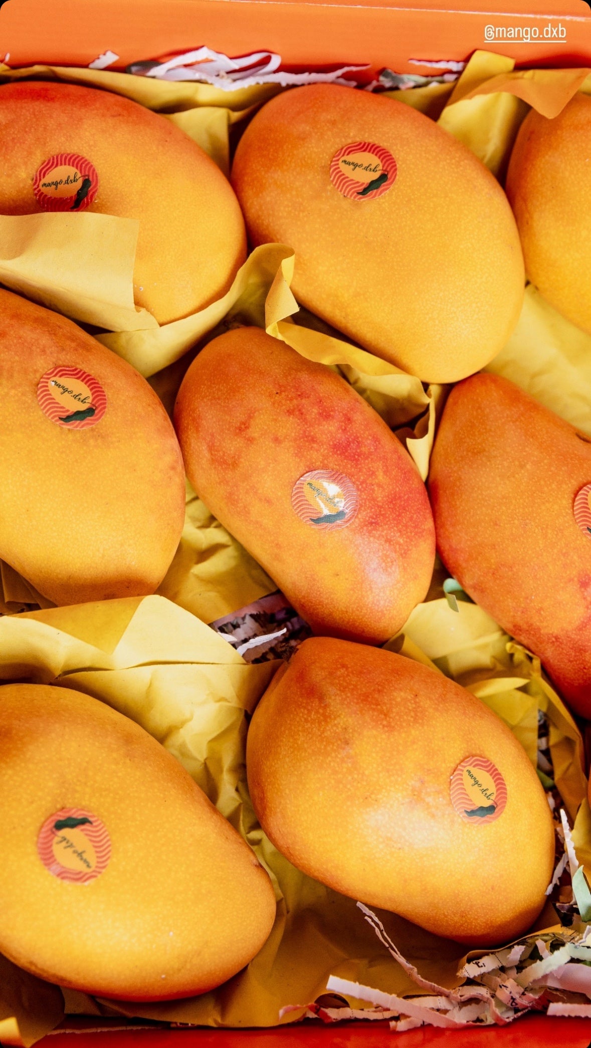 Premium Yemen Mangoes - Box of 9