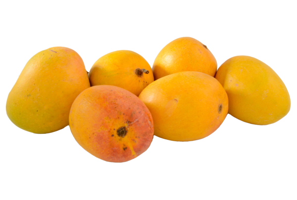 Aamrai Organic Alphonso Mangoes - Box of 12 - Size A
