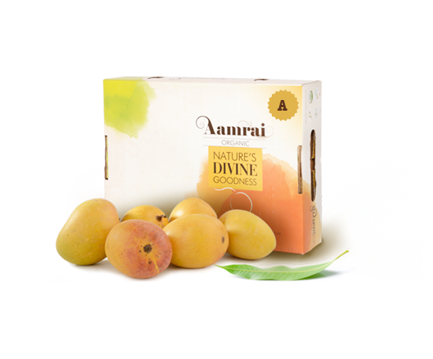 Aamrai Organic Alphonso Mangoes - Box of 12 - Size A