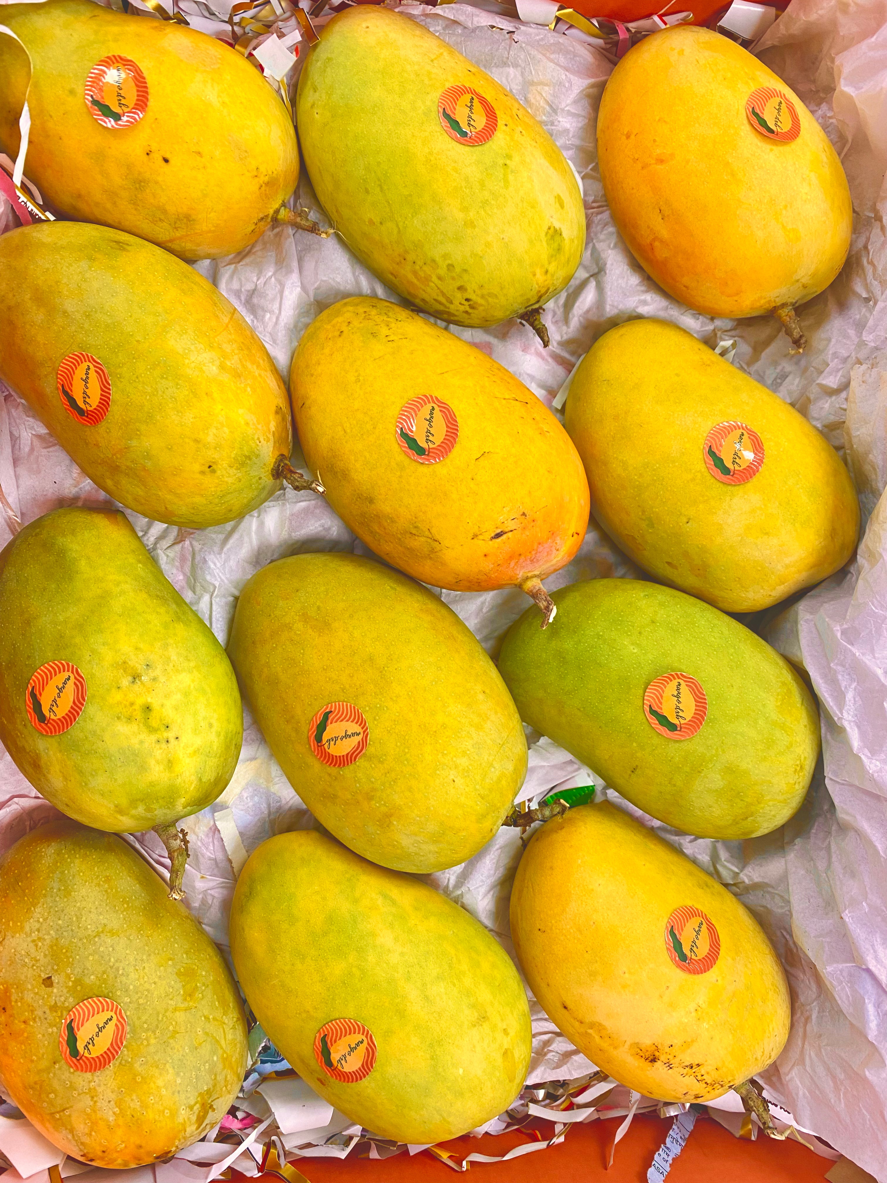 Open box of Premium Kesar Mangoes - Box of 12 - Tulsidas