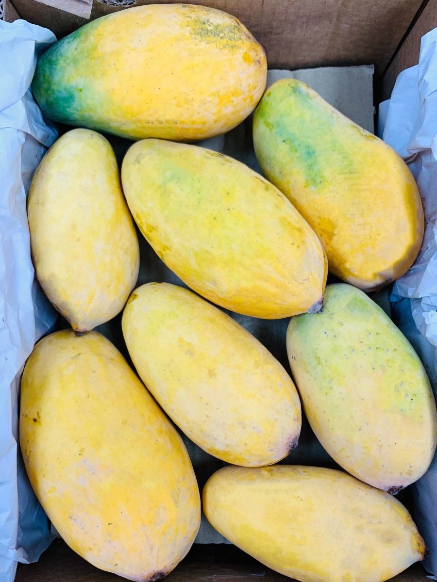 Pakistani Sindhri Mangoes Sweet and Fiberless Box of 1416
