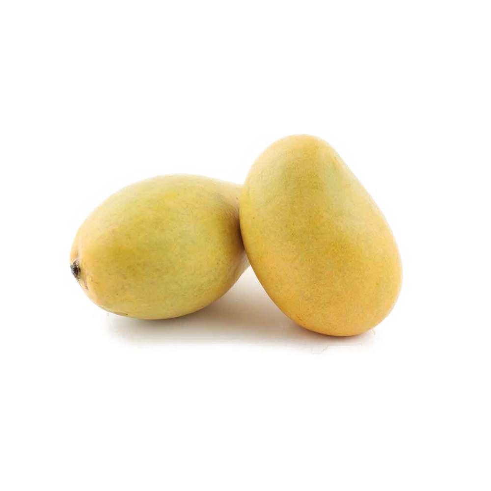 Fass Egypt Mangoes - Box of 20-24
